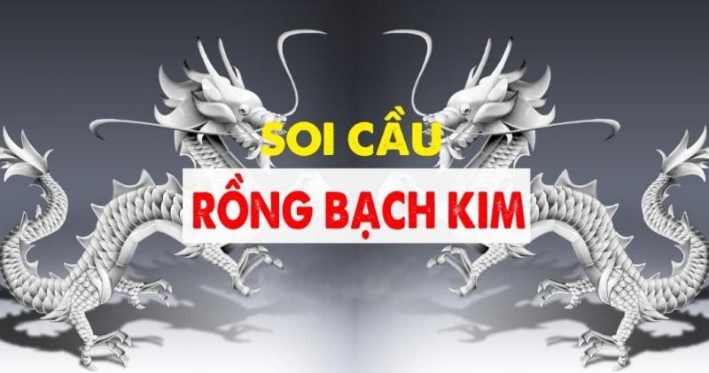 Soi cầu xổ số miền Bắc Rồng Bạch Kim có chính xác không?